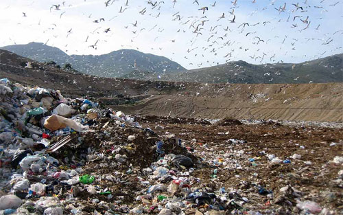 discarica comunale farina crotone