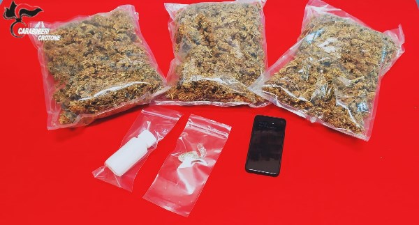 750 grammi di marijuana caccuri